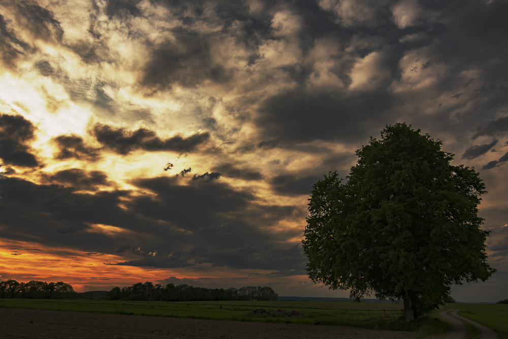 Platz 8 Christian Reichert